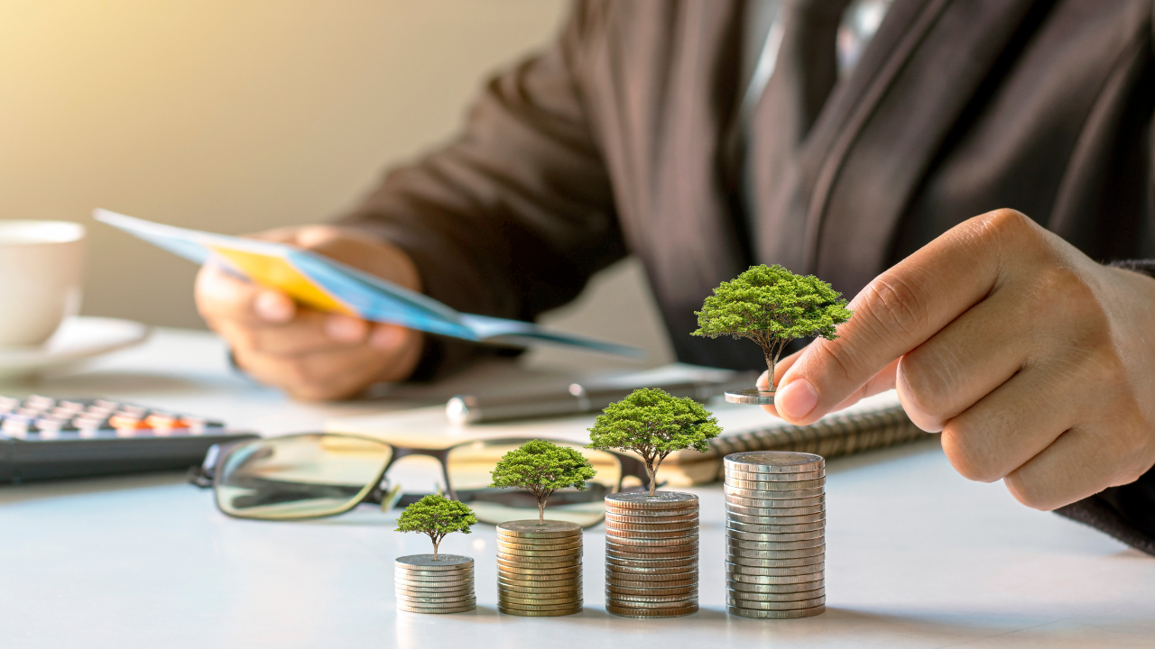 Businessperson reviewing financial documents next to stacks of coins with trees growing on top, symbolizing sustainable investment growth.