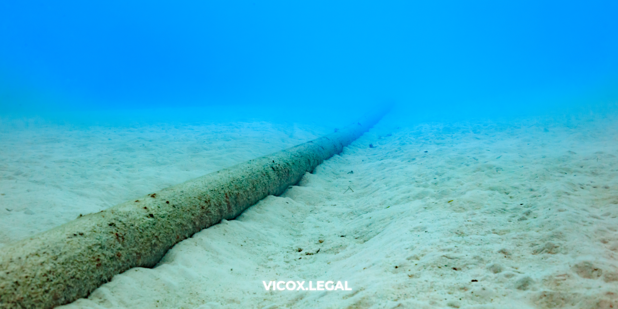 Subsea Cables and Data Centres: The Infrastructure Powering the Digital Economy