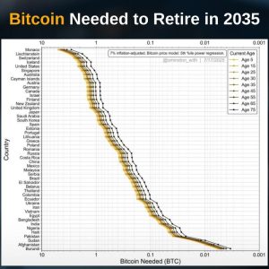 HOW MUCH BITCOIN DO YOU NEED TO RETIRE IN 2035?